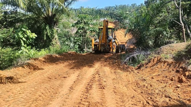 
					Perbaiki Fasilitas Kebun, Petani Sawit Sampaikan Terima Kasih untuk PT Socfindo Seunagan